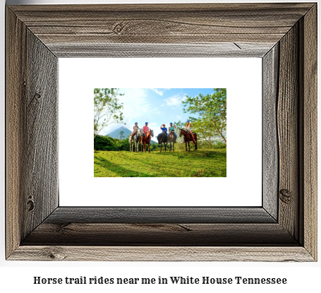 horse trail rides near me in White House, Tennessee